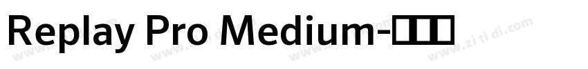 Replay Pro Medium字体转换